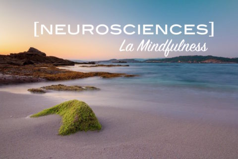 article mindfulness au quotidien coaching therapie hypersensibilite haut potentiel intellectuel hpi