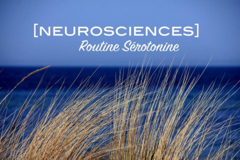 article-serotonine-hypersensibilite-haut-potentiel-intellectuel-hpi