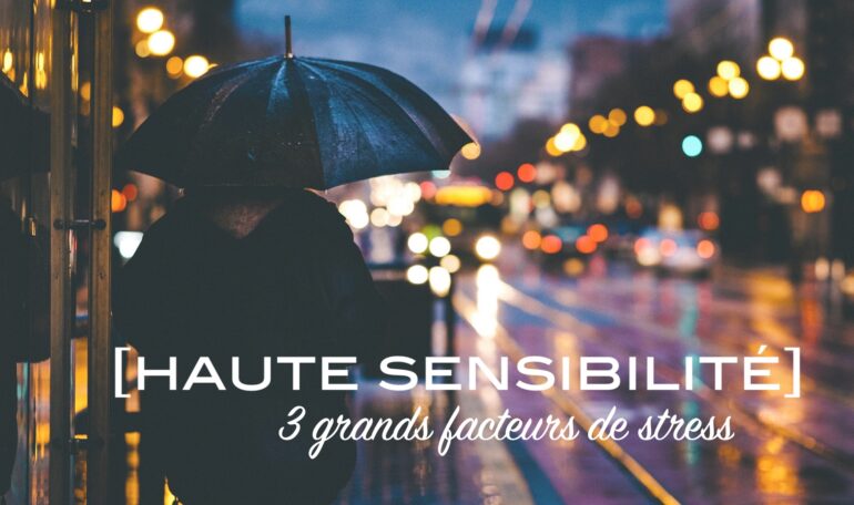 article 3 grands facteurs de stress - Haute sensibilité